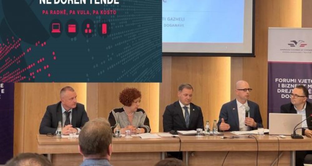 Dhoma Amerikane ankesa per e-albania, vonesa dhe probleme me sistemin